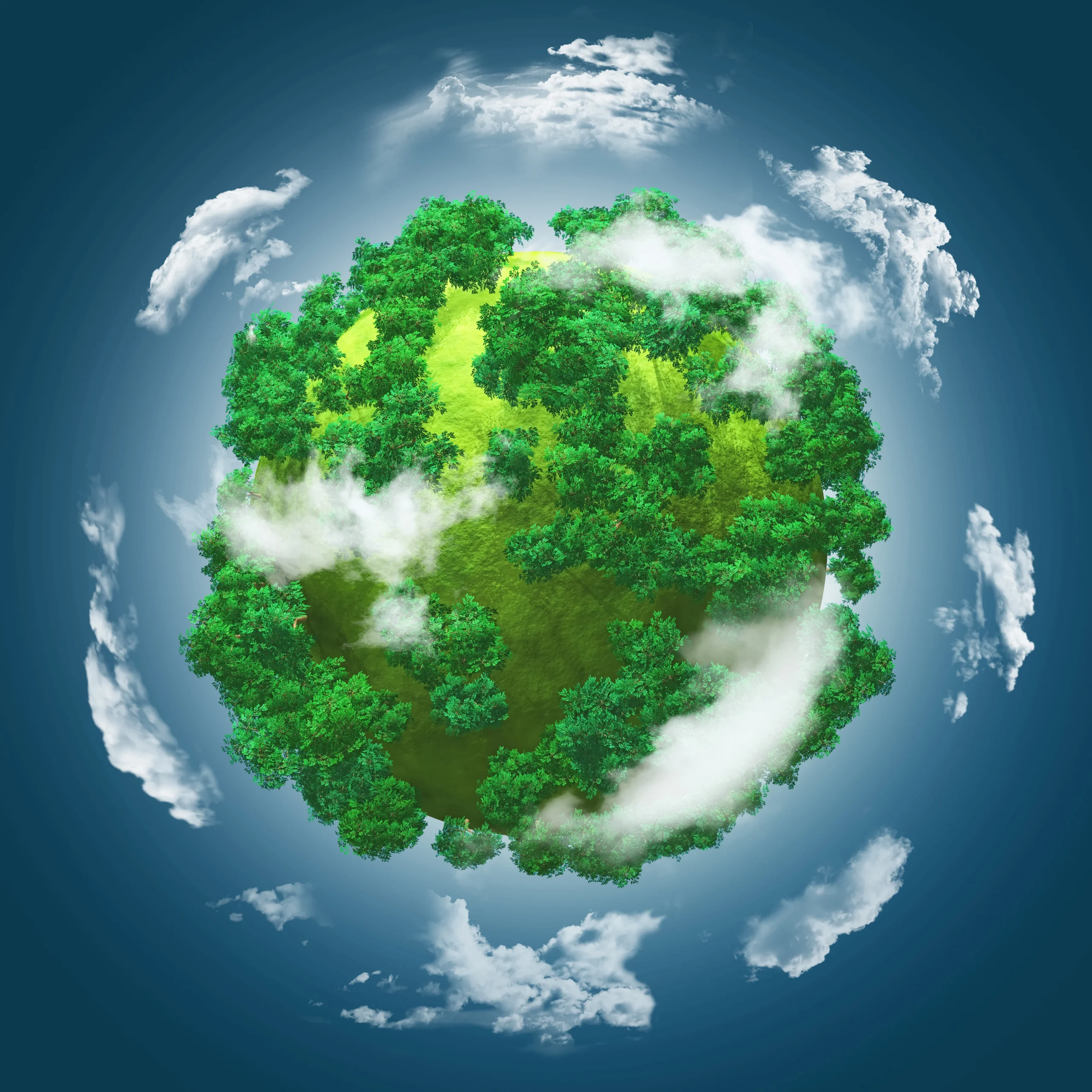 Sustainability
